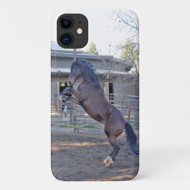 Zuchtpferd 1 Case-Mate iPhone hülle (Rückseite)