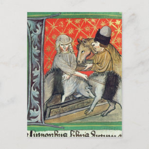 Zuchtschweine und -pferde postkarte