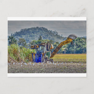 ZUCKER CANE HARVESTOR QUEENSLAND AUSTRALIEN POSTKARTE