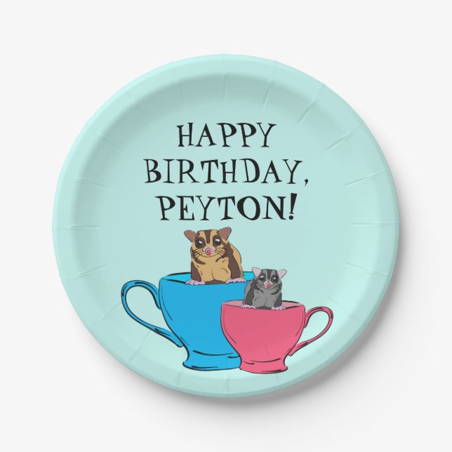 Zucker Glider in Teekuchen Maßgeschneiderte Geburt Pappteller (Vorderseite)