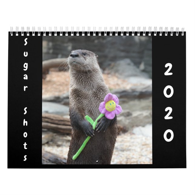 Zucker-Shots-Kalender 2020 Kalender (Titelbild)