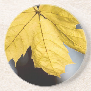 Zuckerahorn, Herbst Sandstein Untersetzer
