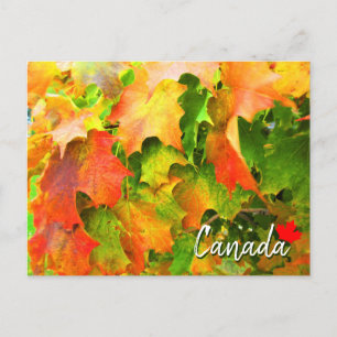 Zuckerahornblätter ändern im Herbst Kanada ihre Fa Postkarte