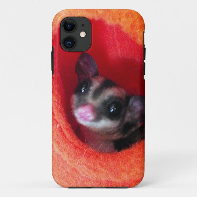Zuckerglänzer in Orange-Hängepflanze Case-Mate iPhone Hülle (Rückseite)