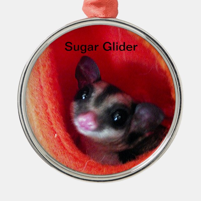 Zuckerglänzer in Orange-Hängepflanze Silbernes Ornament (Vorne)