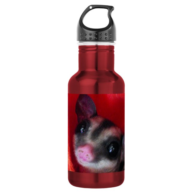 Zuckerglänzer in Orange-Hängepflanze Trinkflasche (Vorderseite)