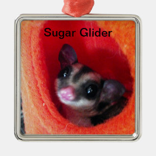 Zuckergleiter in orangem Hängebett Silbernes Ornament