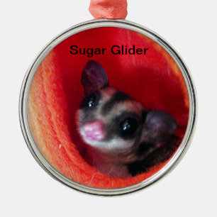 Zuckergleiter in orangem Hängebett Silbernes Ornament