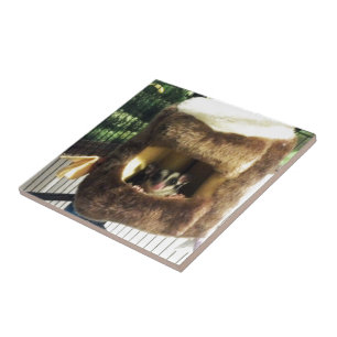 Zuckergrüber in Furry Tree Truck Hängebett Fliese