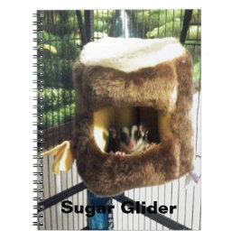 Zuckergrüber in Furry Tree Truck Hängebett Notizblock
