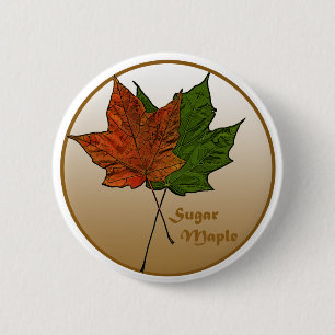 Zuckerkapelbaum Button