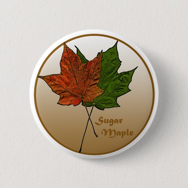 Zuckerkapelbaum Button (Vorderseite)