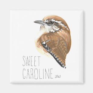 Zuckerkaroline (Carolina Wren) Magnet