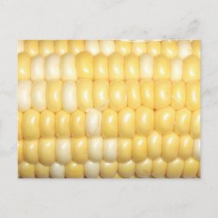 Zuckermais auf der Cob-Postkarte Postkarte