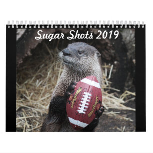 Zuckern Sie den Otter Kalender