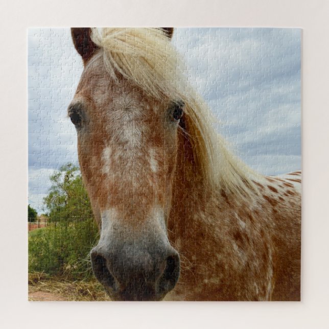 "Zuckerrohr: Die Gnade der Appaloosa" (Vertikal)