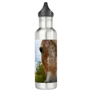 "Zuckerrohr: Die Gnade der Appaloosa" Edelstahlflasche