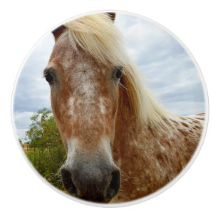 "Zuckerrohr: Die Gnade der Appaloosa" Keramikknauf