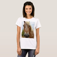 "Zuckerrohr: Die Gnade der Appaloosa"