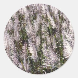 Zuckerrohr Runder Aufkleber