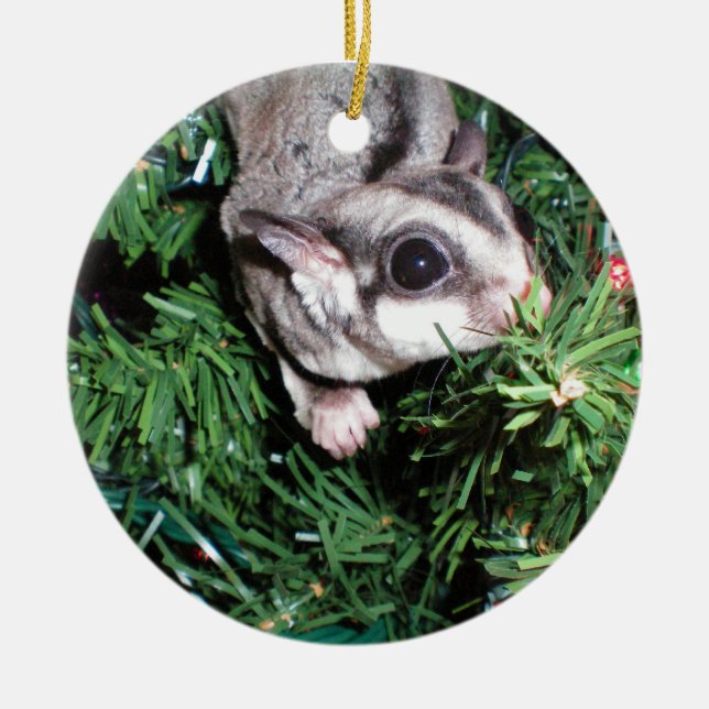 Zuckersegelflugzeug Weihnachten Keramik Ornament (Vorne)