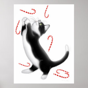 Zuckerstange-Katzen-Spielwaren-Druck Poster