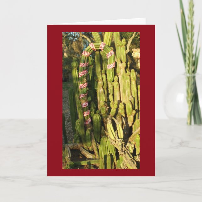 Zuckerstangekaktus Feiertagskarte (Vorderseite)