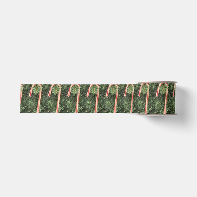 Zuckerstangenband  ripsband (Vorderseite)