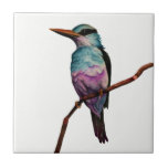 Zuckerwatte-Farbvogel-Malerei Fliese<br><div class="desc">Dieses ist eine Aquarellmalerei eines Vogels in den Zuckerwattefarben. Es wird auf einer Niederlassung gehockt.</div>