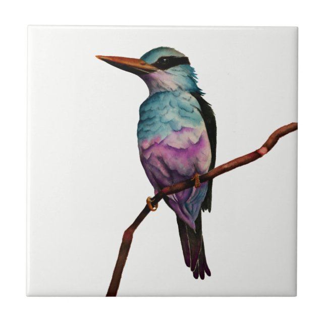 Zuckerwatte-Farbvogel-Malerei Fliese (Vorderseite)
