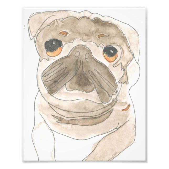 Zues Pup Print Fotodruck (Vorne)