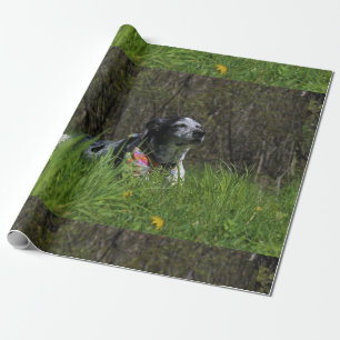 Zufriedenheit Geschenkpapier