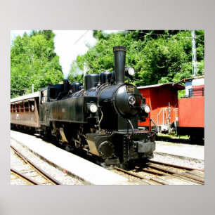 Zug im Eisenbahnmuseum Chamby Poster