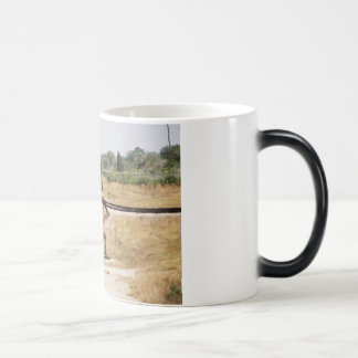Zug-Tasse Verwandlungstasse