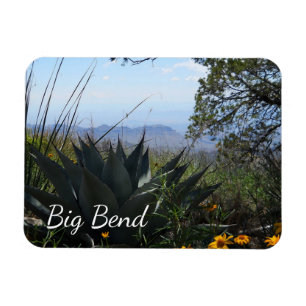 Zugegeben und Wildblumen, Big Bend Nationalpark Magnet