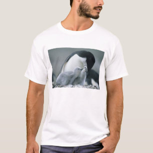 Zügelpentiere, Pygoscelis antarctica), T-Shirt