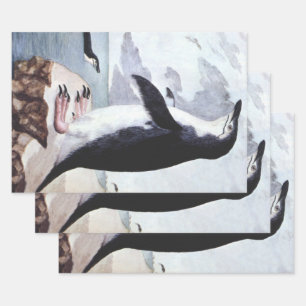 Zügelpinguin, Alte Vögel aus der Antarktis Geschenkpapier Set