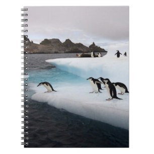 Zügelpinguine Notizblock