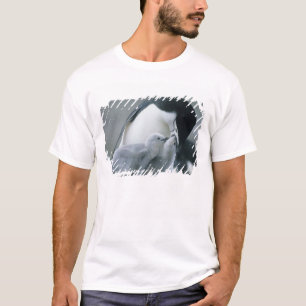 Zügelpinguine, Pygoscelis antarctica), T-Shirt