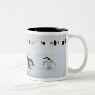 Zügelpinguine Zweifarbige Tasse