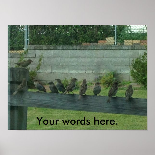 Zügelt Vögel auf einer Schiene Ihre Worte Posters Poster (Vorne)
