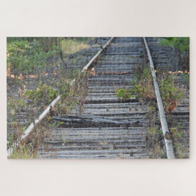 Zuggleise und kleiner Vogel (Horizontal)