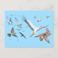 Zugvögel, die ihre Flüge aufspüren Illustration