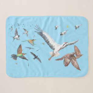Zugvögel, die ihre Flüge zurückverfolgen Kinder Sherpadecke