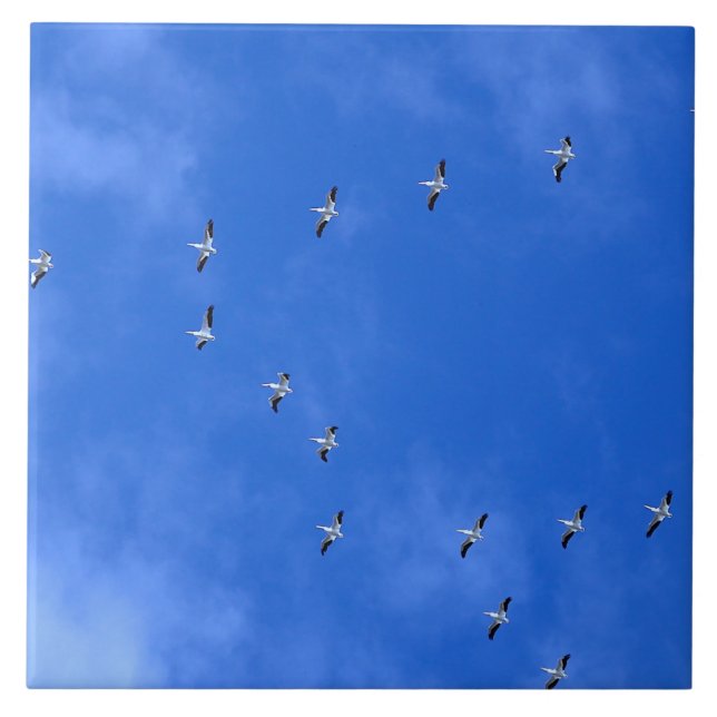 Zugvögel Fliese (Vorderseite)