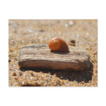 Zuhause am Strand