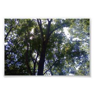 Zuhause der Elfe Fotodruck