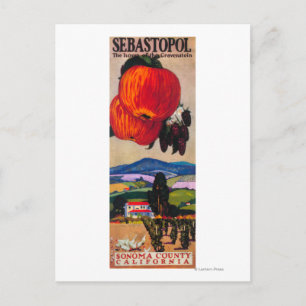 Zuhause des Gravenstein-Posters Postkarte