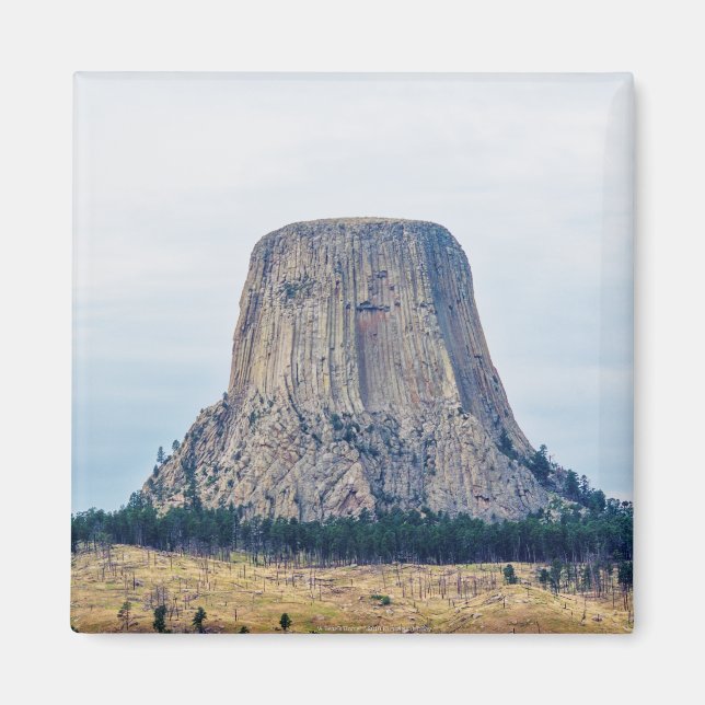 Zuhause eines Bären Magnet (Vorne)