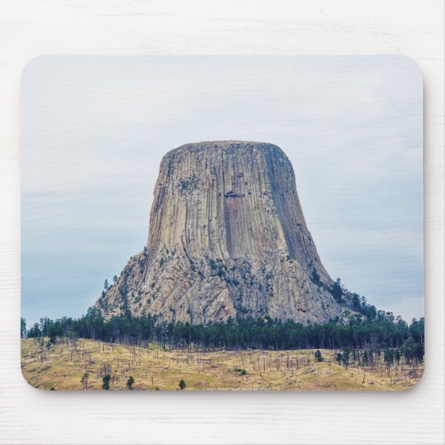 Zuhause eines Bären Mousepad (Vorne)